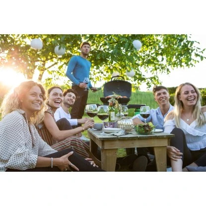 Napoleon Gasgrill TravelQ TQ285 Mit 2 Brennern & Klappbarem Wagen Schwarz 3 Napoleon Gasgrill TravelQ TQ285 Mit 2 Brennern & Klappbarem Wagen Schwarz – Bild 3