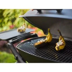 Weber Gasgrill Q 2200 Mit 1 Brenner Und Standgestell Schwarz 10 Weber Gasgrill Q 2200 Mit 1 Brenner Und Standgestell Schwarz -Angebote Grill König Store 2567618 A03