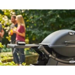 Weber Gasgrill Q 2200 Mit 1 Brenner Und Standgestell Schwarz 13 Weber Gasgrill Q 2200 Mit 1 Brenner Und Standgestell Schwarz -Angebote Grill König Store 2567618 AB01